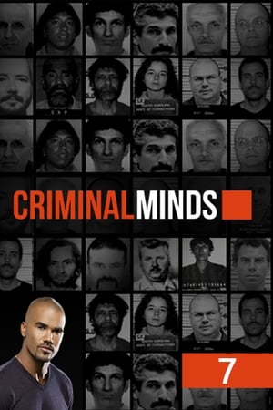 Mentes criminales T 7 C 3 online gratis