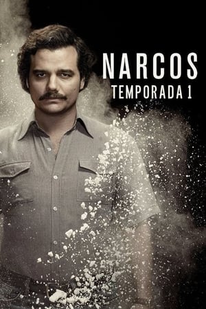 Narcos T 1 C 2 online gratis