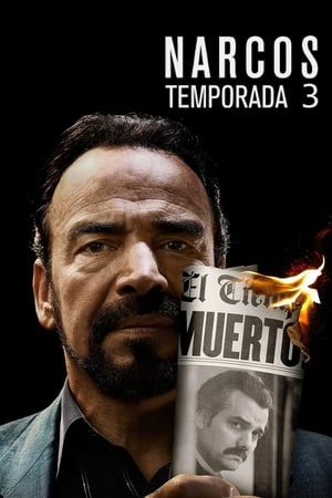 Narcos T 3 C 5 online gratis