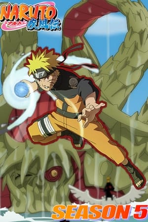 Naruto Shippuden T 5 C 93 online gratis