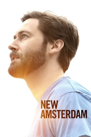 New Amsterdam T 3 C 8 online gratis