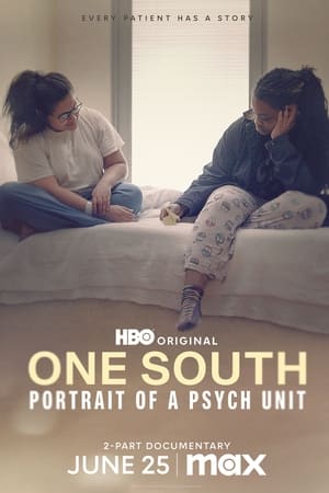 One South Retrato de una unidad psiquiatrica Temporada 1 online gratis