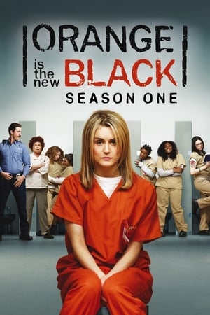 Orange Is the New Black Temporada 1 online gratis