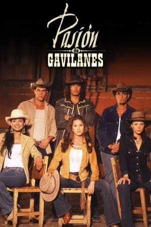 Pasión de gavilanes T 1 C 161 online gratis