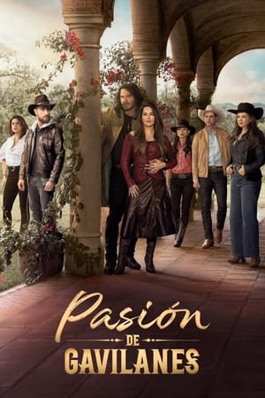 Pasión de gavilanes T 2 C 17 online gratis