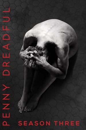 Penny Dreadful T 3 C 8 online gratis