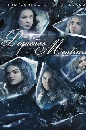 Pequeñas mentirosas T 5 C 24 online gratis