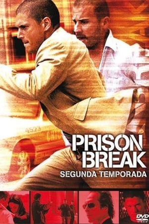 Prison Break T 2 C 11 online gratis