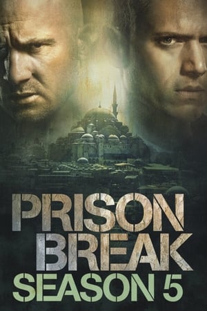 Prison Break Temporada 5 online gratis