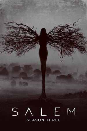 Salem T 3 C 7 online gratis