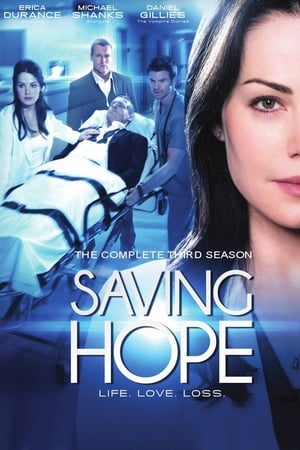 Saving Hope T 3 C 8 online gratis