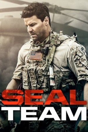 SEAL Team T 1 C 15 online gratis