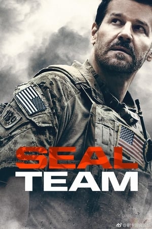 SEAL Team T 2 C 11 online gratis