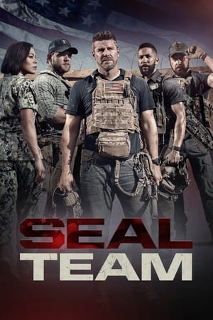 SEAL Team Temporada 5 online gratis