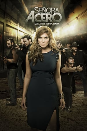 Señora Acero Temporada 2 online gratis