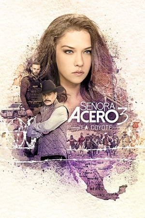 Señora Acero T 3 C 90 online gratis