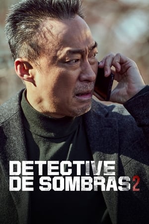 Shadow Detective T 2 C 7 online gratis