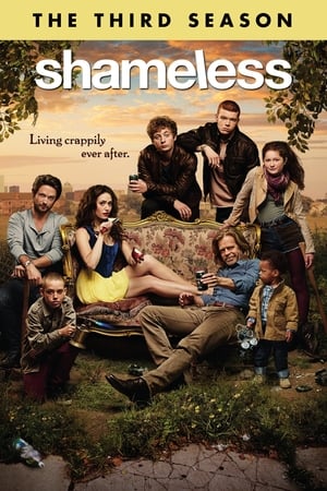 Shameless T 3 C 4 online gratis