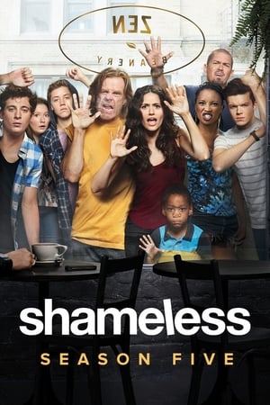 Shameless T 5 C 4 online gratis