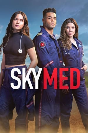 SkyMed Temporada 1 online gratis