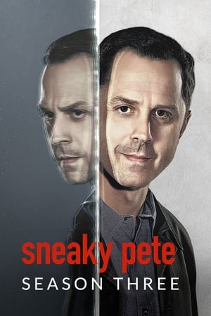 Sneaky Pete T 3 C 9 online gratis