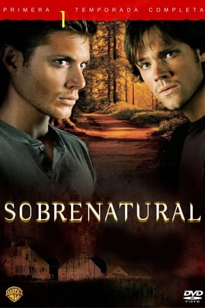 Sobrenatural Temporada 1 online gratis