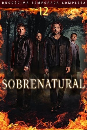 Sobrenatural Temporada 12 online gratis