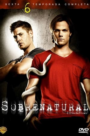 Sobrenatural Temporada 6 online gratis