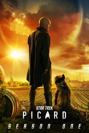 Star Trek: Picard T 1 C 7 online gratis