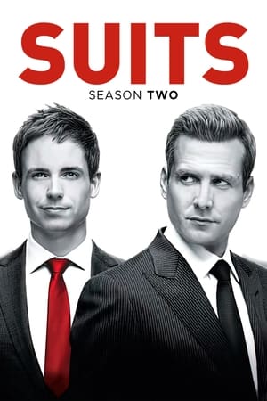 Suits: la clave del éxito T 2 C 5 online gratis