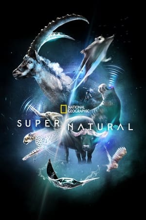 Super/Natural T 1 C 1 online gratis