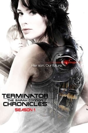 Terminator: Las crónicas de Sarah Connor T 1 C 5 online gratis