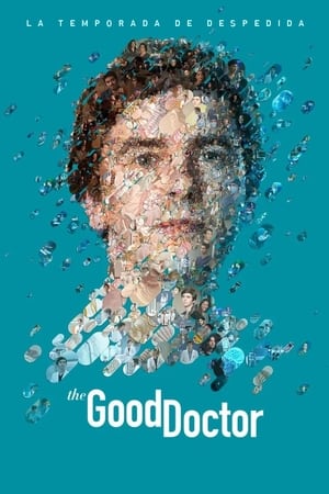 The Good Doctor temporada  7 online