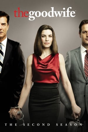 The Good Wife T 2 C 18 online gratis