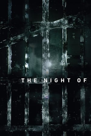 The Night Of temporada  1 online