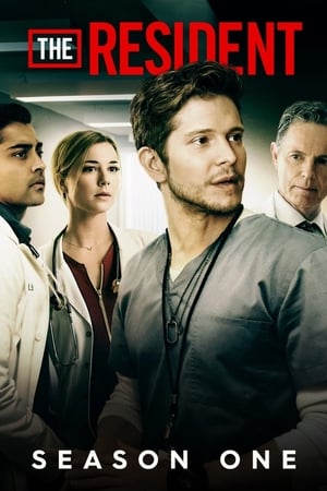 The Resident Temporada 1 online gratis