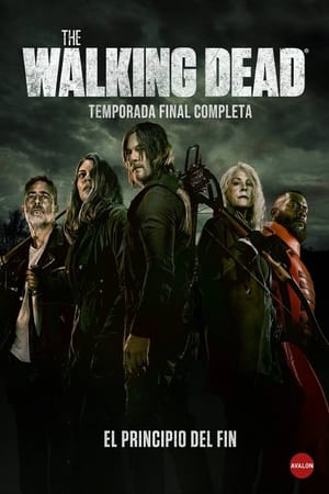 The Walking Dead T 11 C 10 online gratis