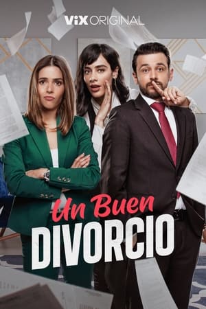 Un buen divorcio temporada  1 online