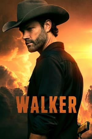 Walker temporada  4 online