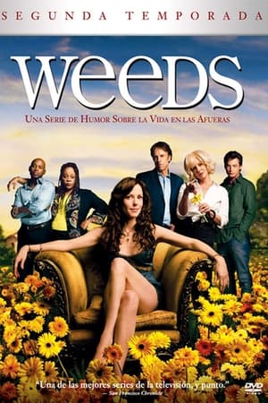 Weeds Temporada 2 online gratis