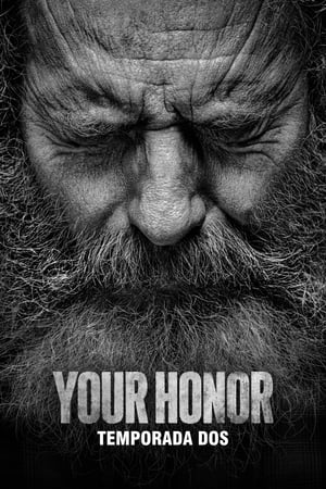 Your Honor T 2 C 2 online gratis