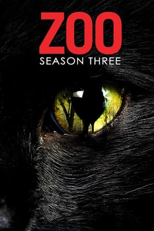 Zoo T 3 C 8 online gratis